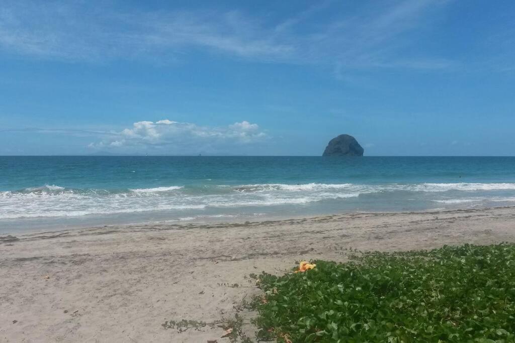 Charmant Et Spacieux Studio A 50M De La Plage Le Diamant Eksteriør bilde